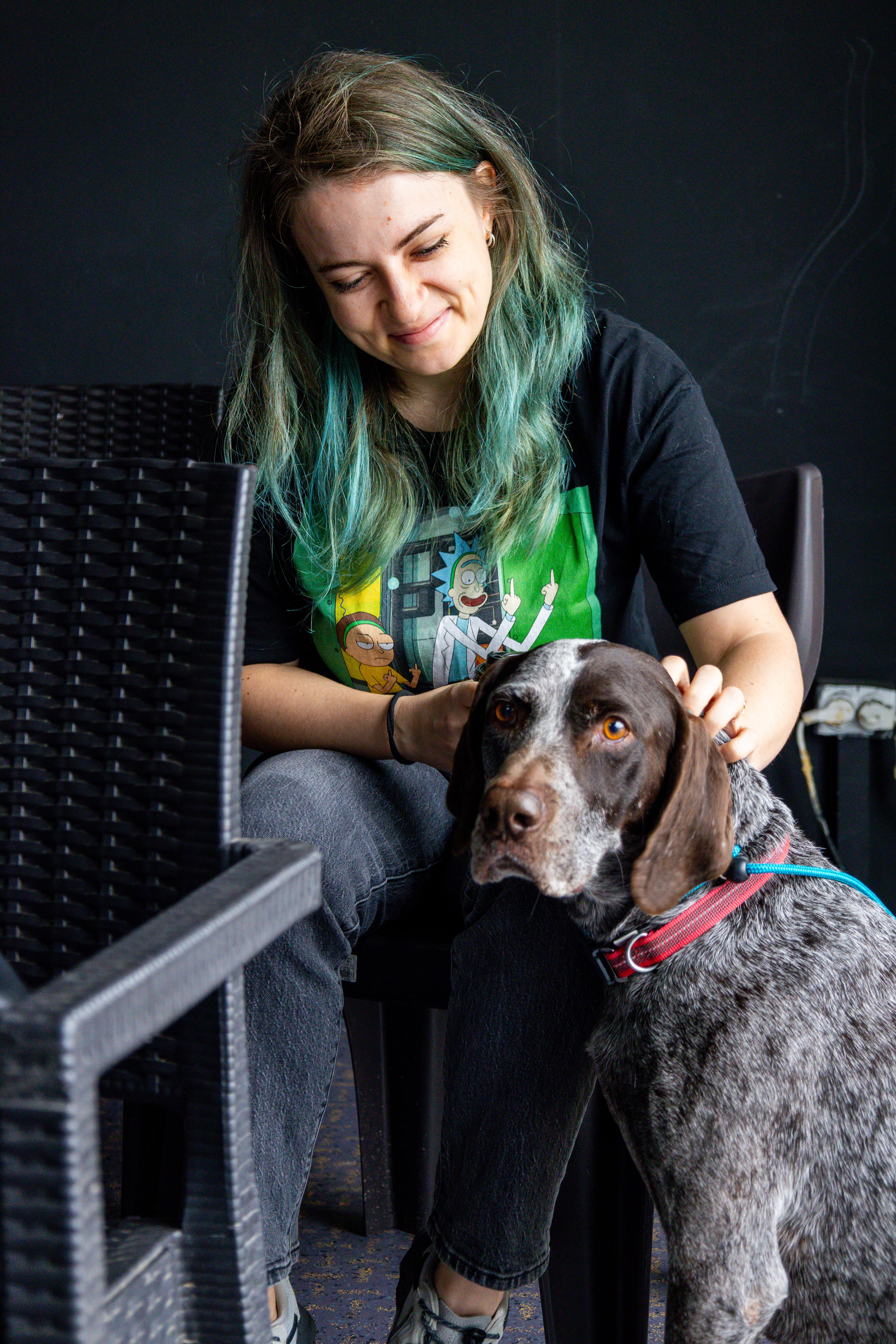 Curs prim ajutor pentru animale